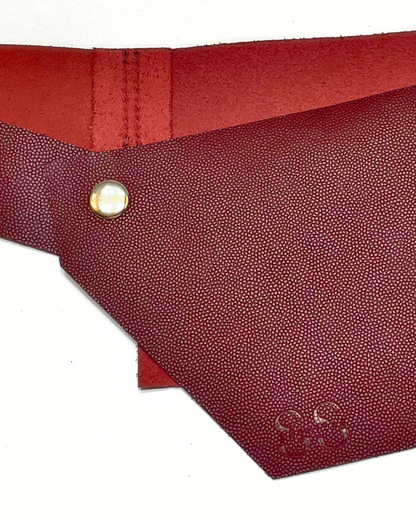 saghiers button belt