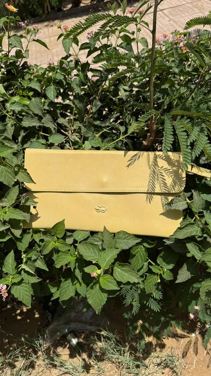 Luma Clutch